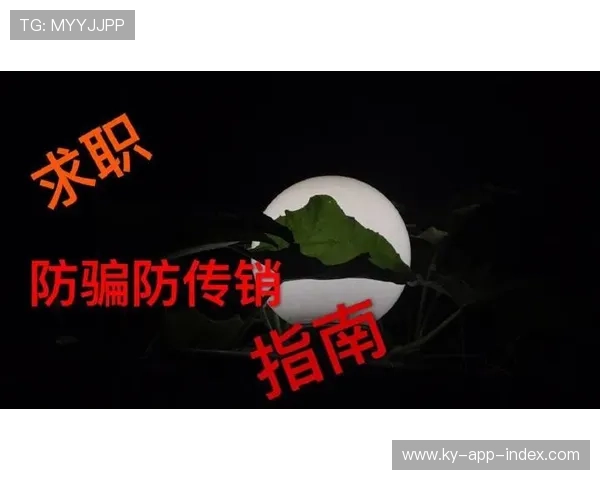 玩球体育app品牌入口下载评测避坑防骗指南